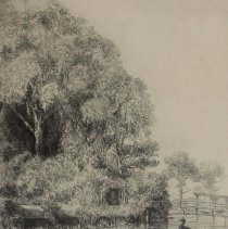 Orton Plantation, North Carolina - The Mirror by Louis Orr